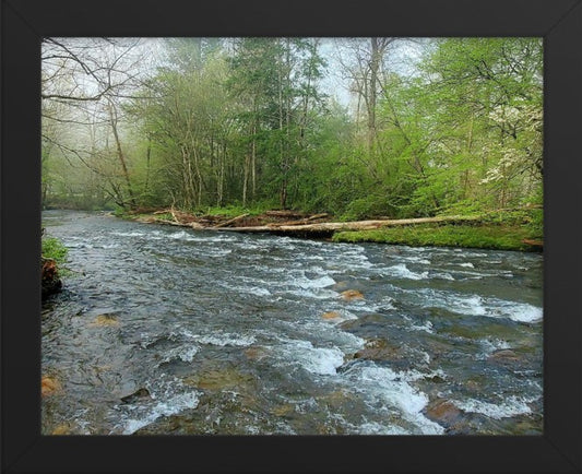 Flowing Creek Horizontal Framed Photo
